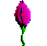 Blumen Gif-Bild