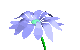 Blumen Gif 6362