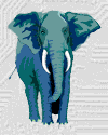 Elefanten Gif 13478