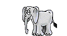 Elefanten Gif 13475