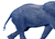 Elefanten Gif 13481