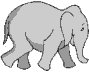 Elefanten Gif-Bild