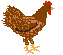 Hühner Gif 7465