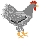 Hühner Gif 7451