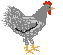 Hühner Gif 7440