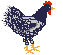 Hühner Gif 7445