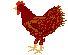 Hühner Gif 7481