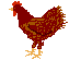 Hühner Gif 7495