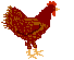 Hühner Gif 7468