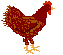 Hühner Gif 7447