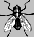 Insekten Gif 9480