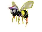 Insekten Gif 9516