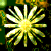 Kaleidoskop Gif 11205