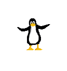 Pinguine Gif