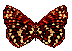 Schmetterlinge Gif 625