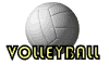Volleyball Gif-Bild